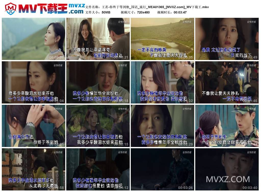 王茗-你终于等到他_国语_流行_MEA01365